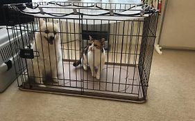 Stayあけぼし館